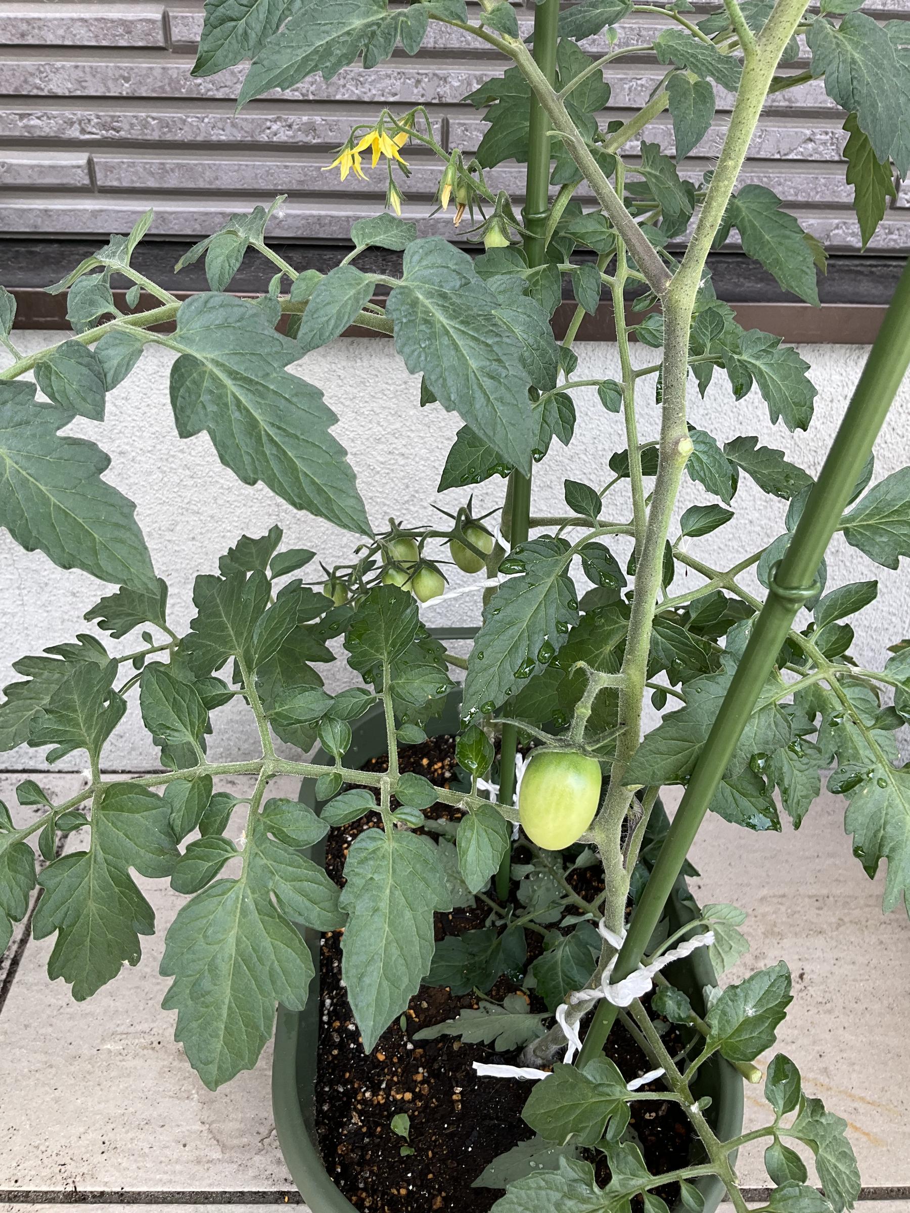 🌻日常の様子をご紹介🌻