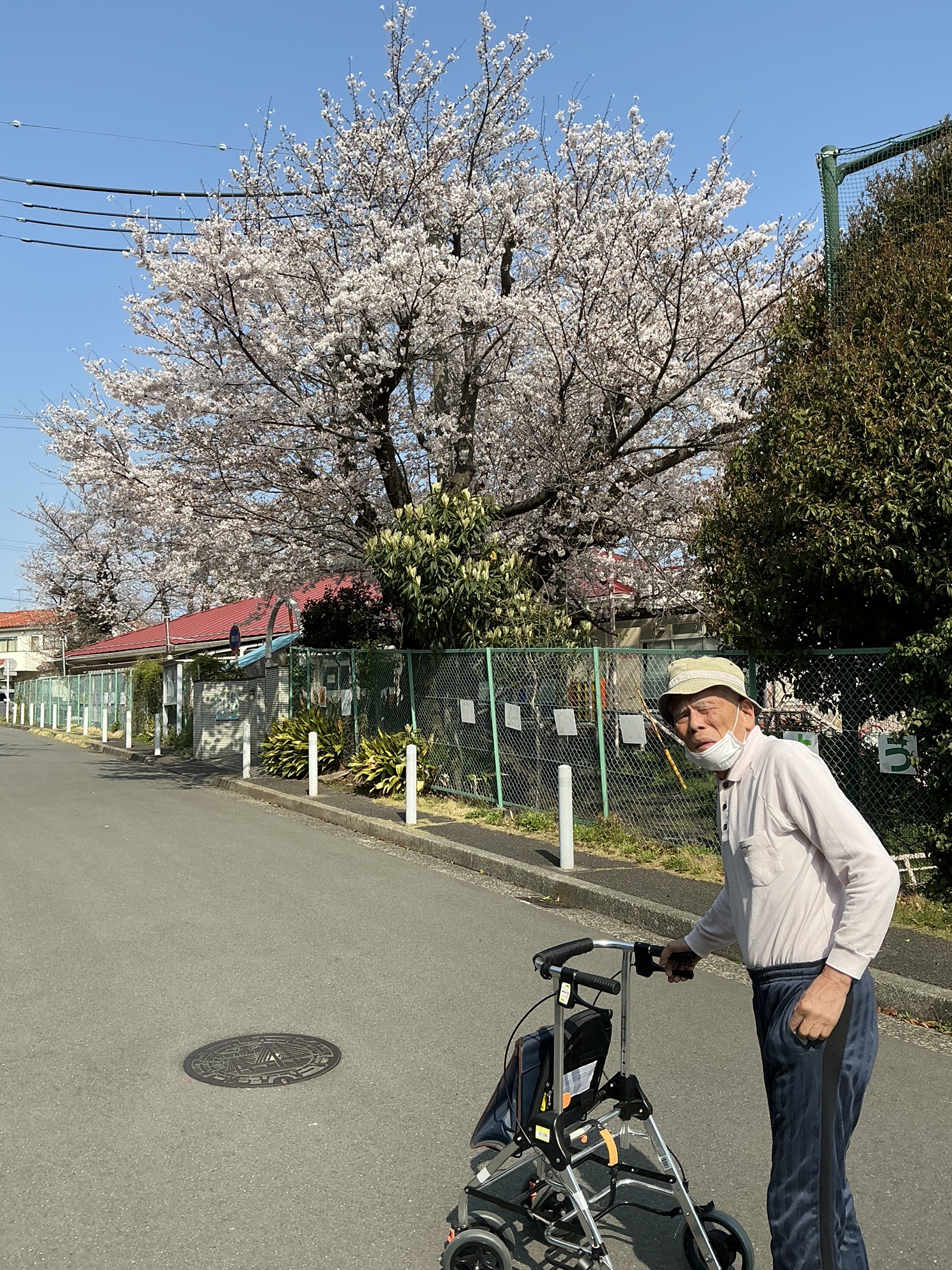 神大寺にも春到来🌸🌸