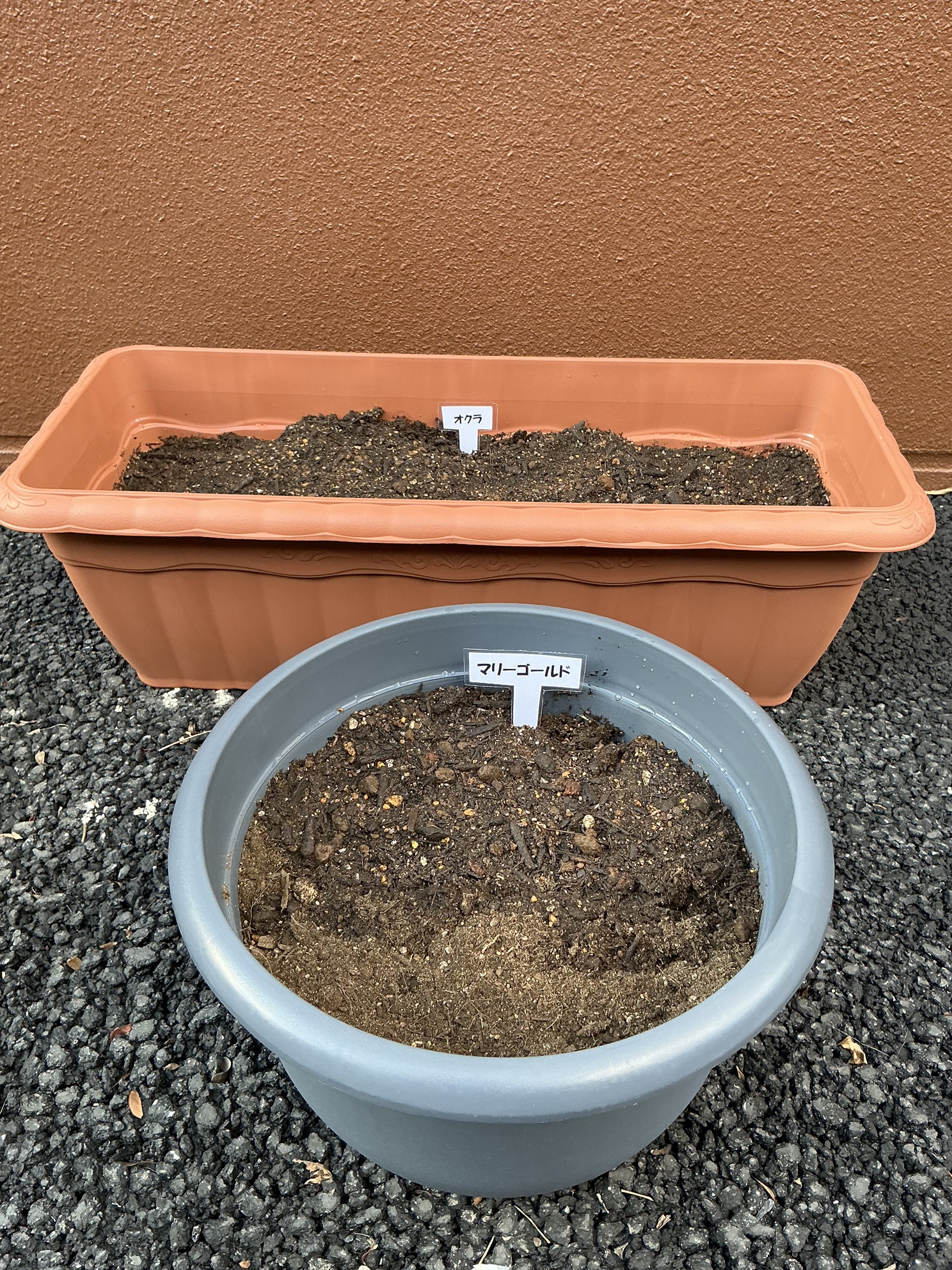 園芸サークル始動しました🌷