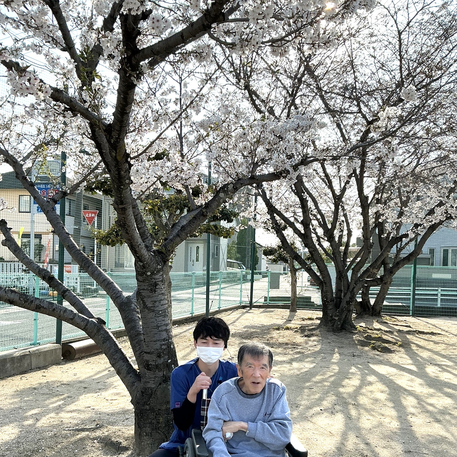お花見にいってきました🌸