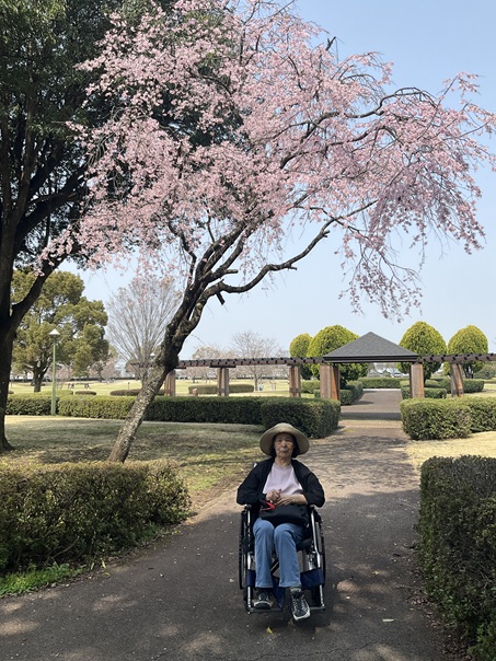 外出イベント🌸お花見🌸