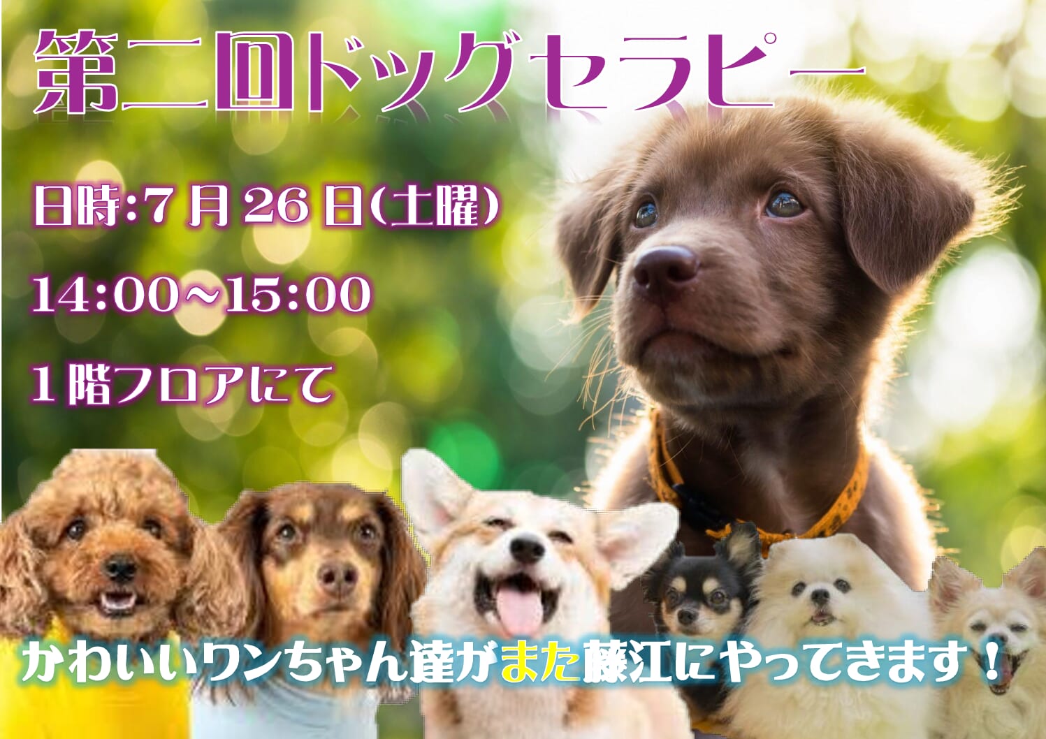 🐶７月26日（土）第２回！ドッグセラピー開催の告知🐶