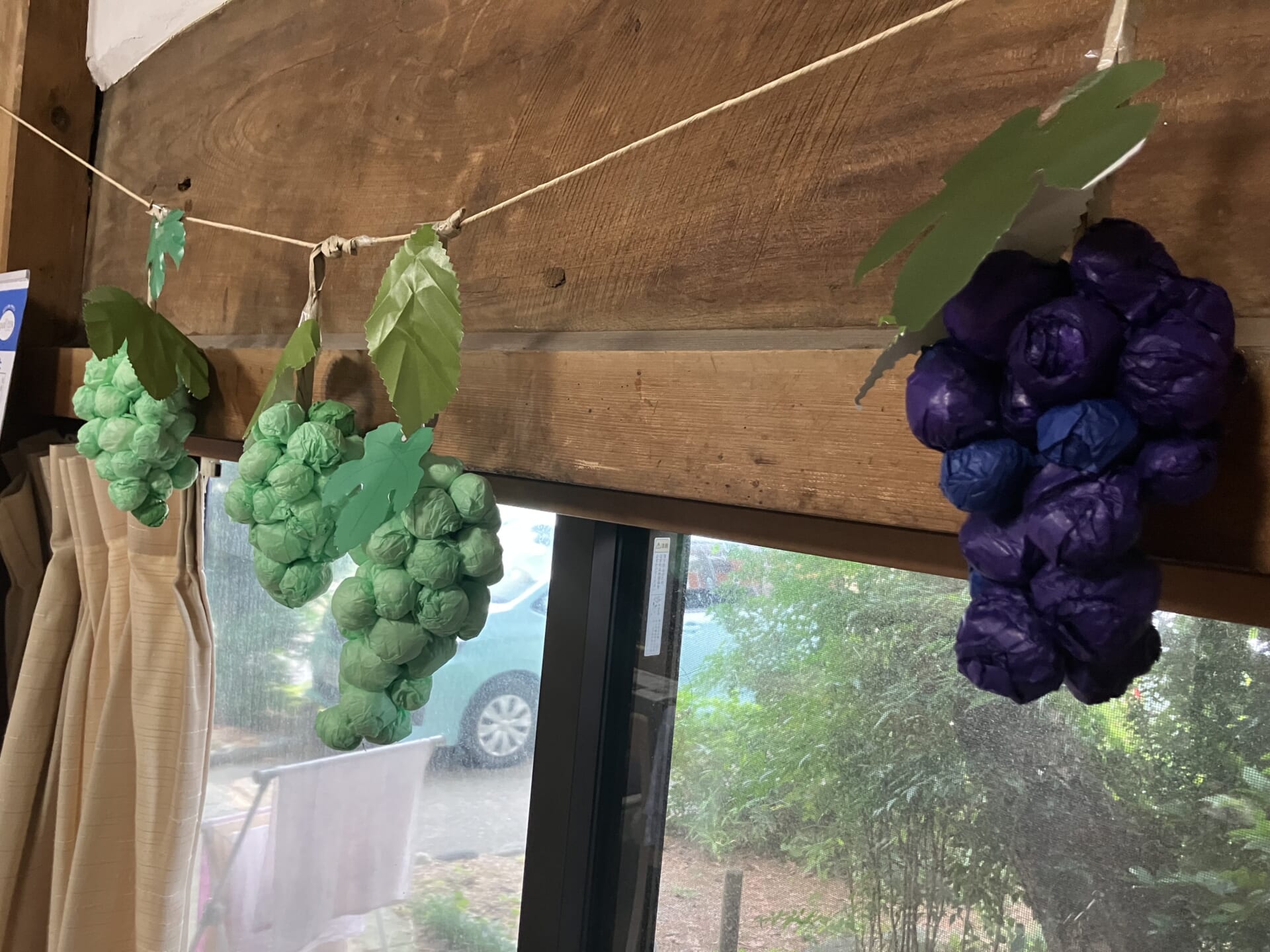 🍇続・ぶどう作り🍇