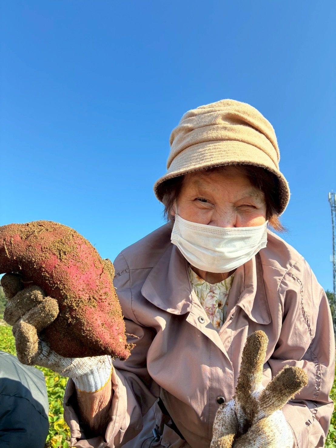 【太陽のリゾート野々市】お芋掘り😃🍠🍠‼️