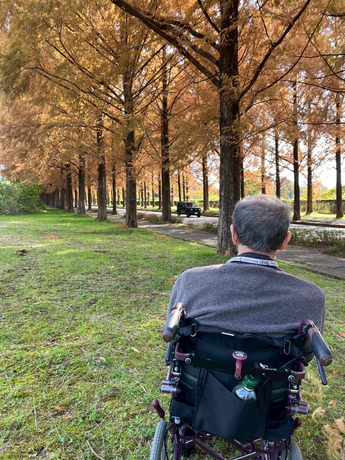 【太陽のリゾート野々市】太陽が丘へ紅葉ドライブ🍁