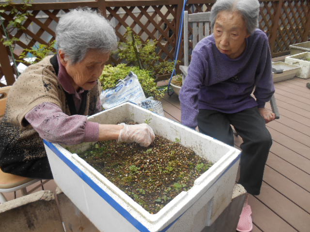 初めまして！