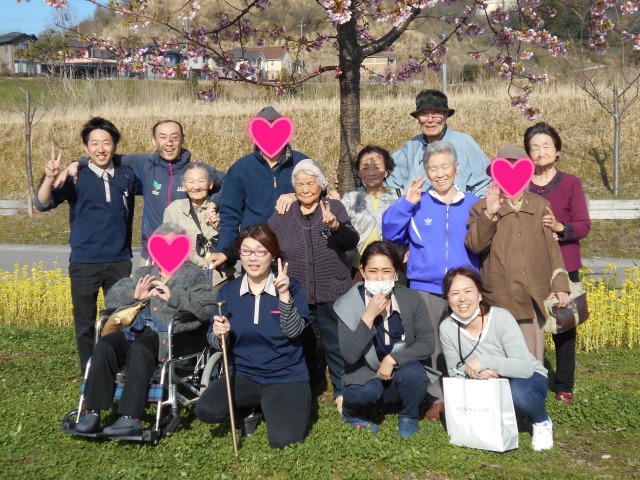菜の花と桜の共演