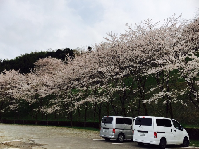 お花見ドライブin樹木公園