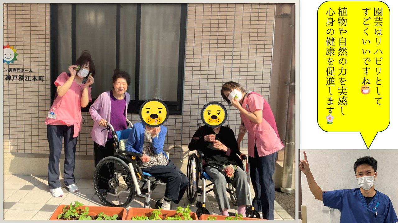 🌱荏胡麻と紫蘇とへっぴり腰🌱【PDハウス神戸深江本町】