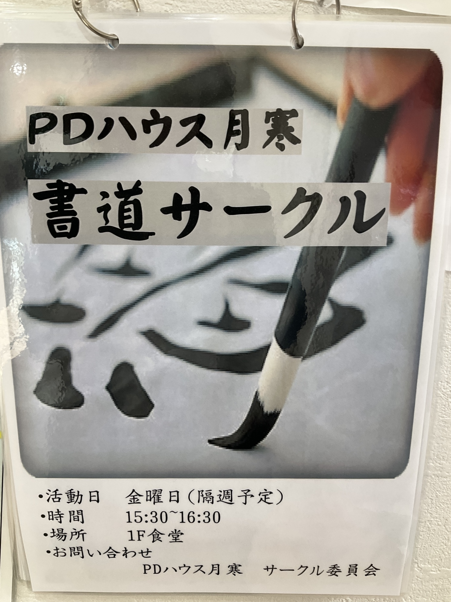 🍂🖌️季節を綴る、書道サークルの秋🍁