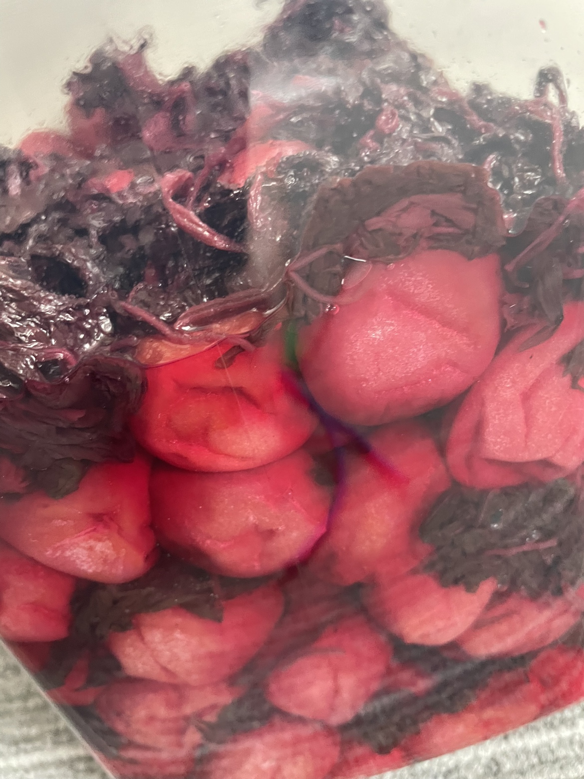 【PDハウス野芥】施設長のひとりごと♪