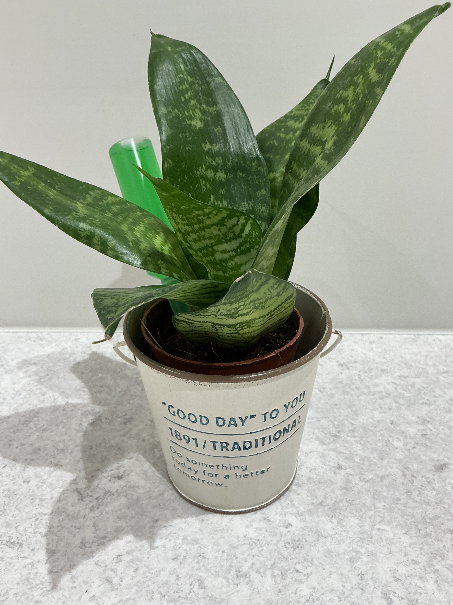 🌷サークル活動について🌷