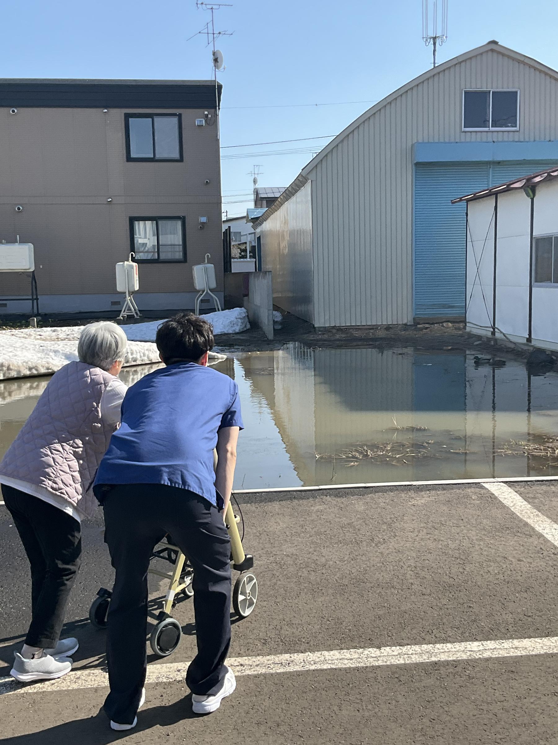 今年もやってきました